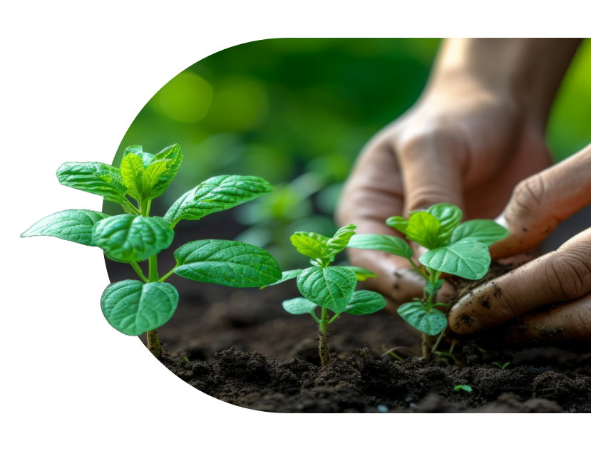 Agriculture